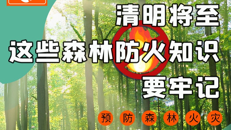 【甘快看】圖解|緊繃“安全弦”！清明，這些森林防火知識要牢記