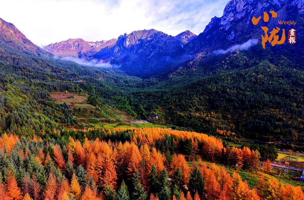 舟曲絢麗賽爾布 斑斕滿眼秋