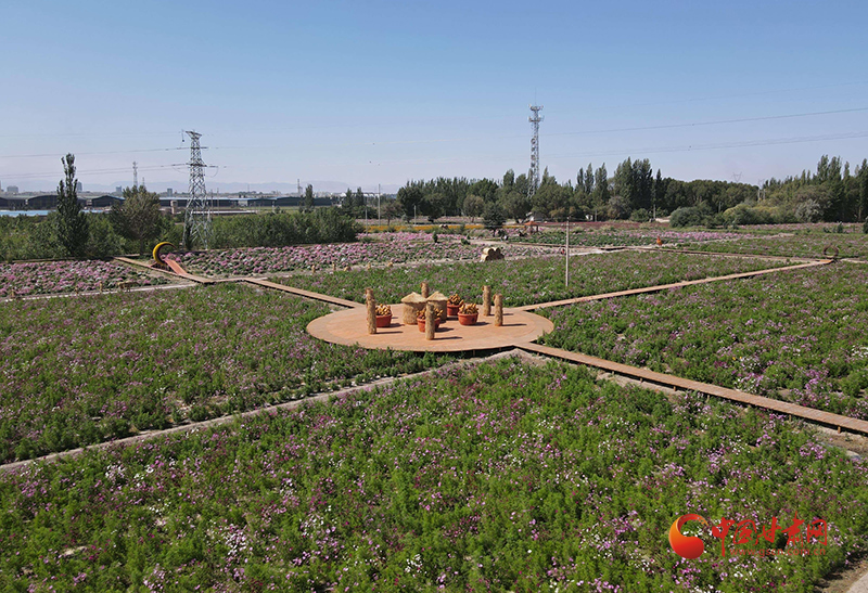 玉門(mén)：繪就和美鄉(xiāng)村“實(shí)景圖”