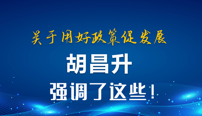圖解|關于用好政策促發(fā)展 胡昌升強調(diào)了這些！