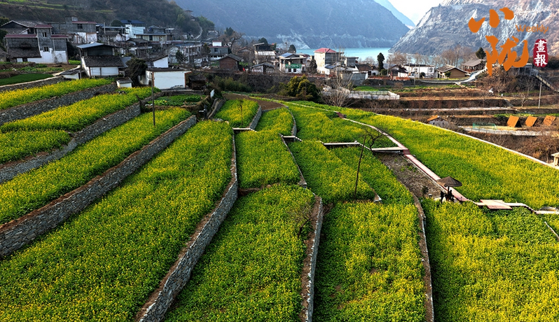 【小隴畫報(bào)·473期】春到文縣早 花開碧水間