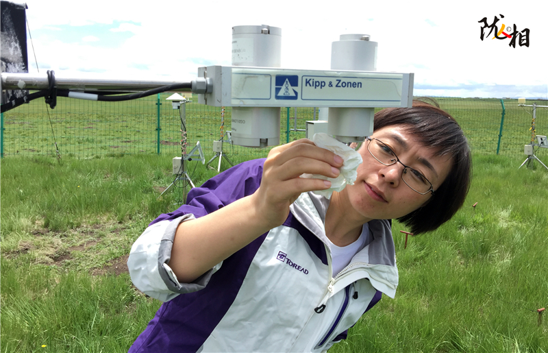 孟憲紅：世界屋脊上的巾幗情懷