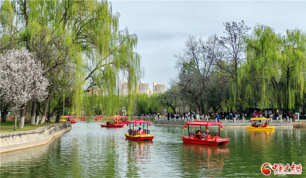 金城清明好風(fēng)光 花映黃河游人醉