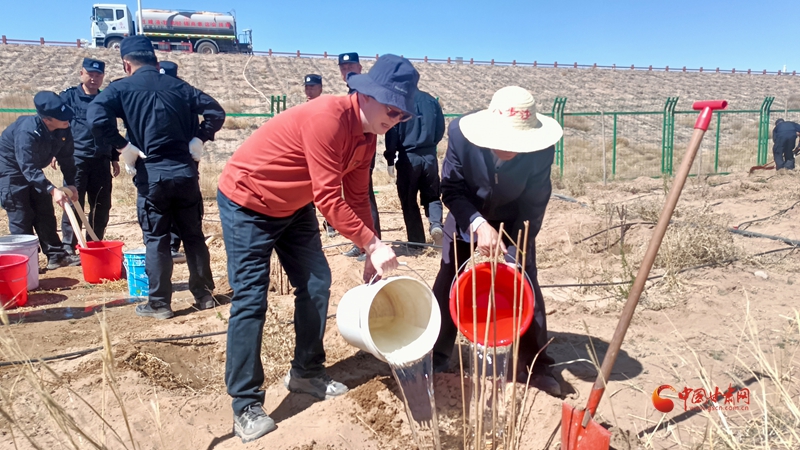 植樹(shù)披綠八步沙