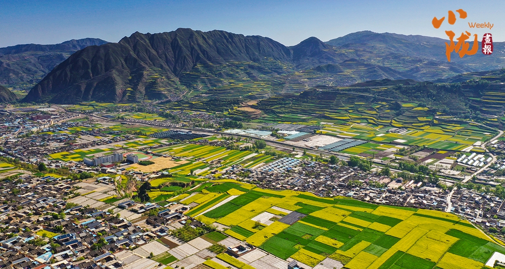 【小隴畫(huà)報(bào)·494期】武山：花海與梯田共譜的田園交響