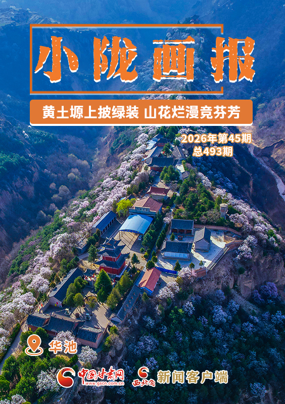 【小隴畫(huà)報(bào)·493期】華池：黃土塬上披綠裝 山花爛漫競(jìng)芬芳